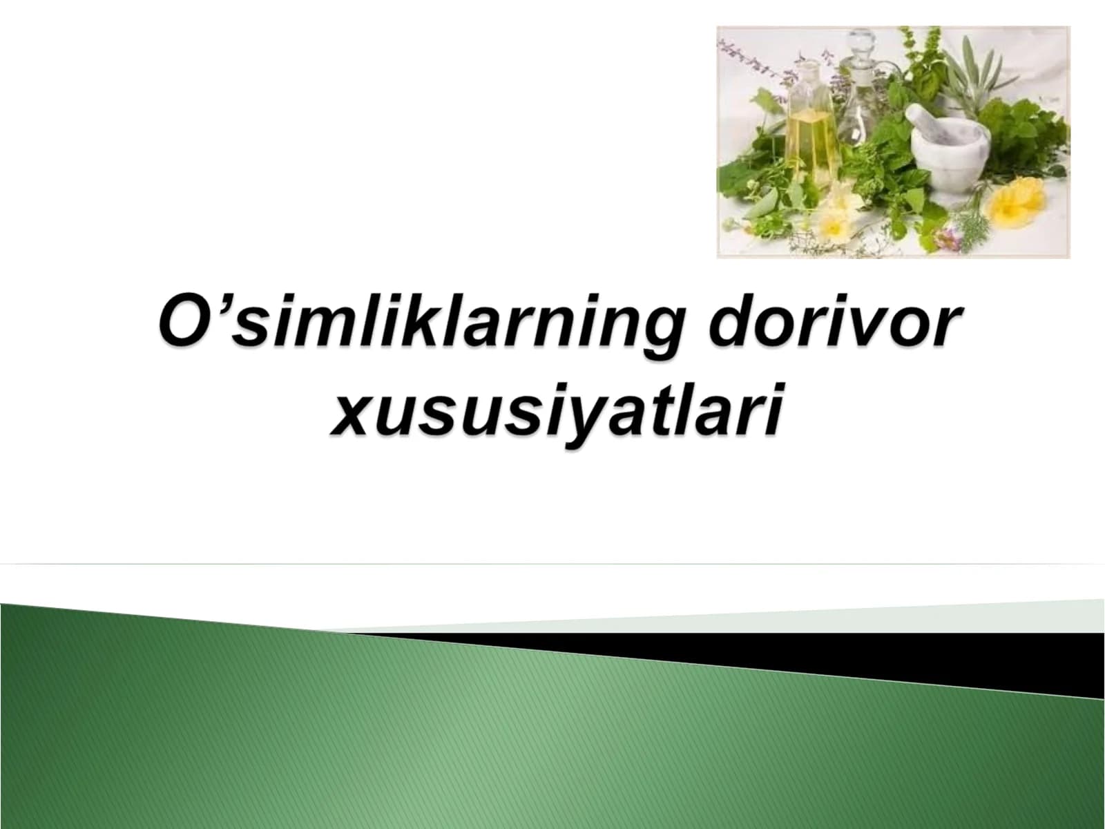 O'simlik haqida ma'lumot