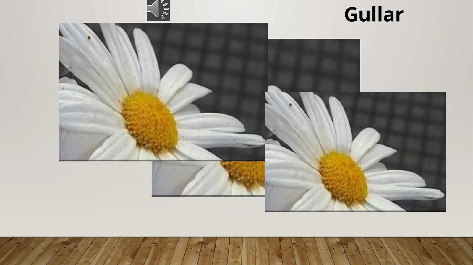 Gullar