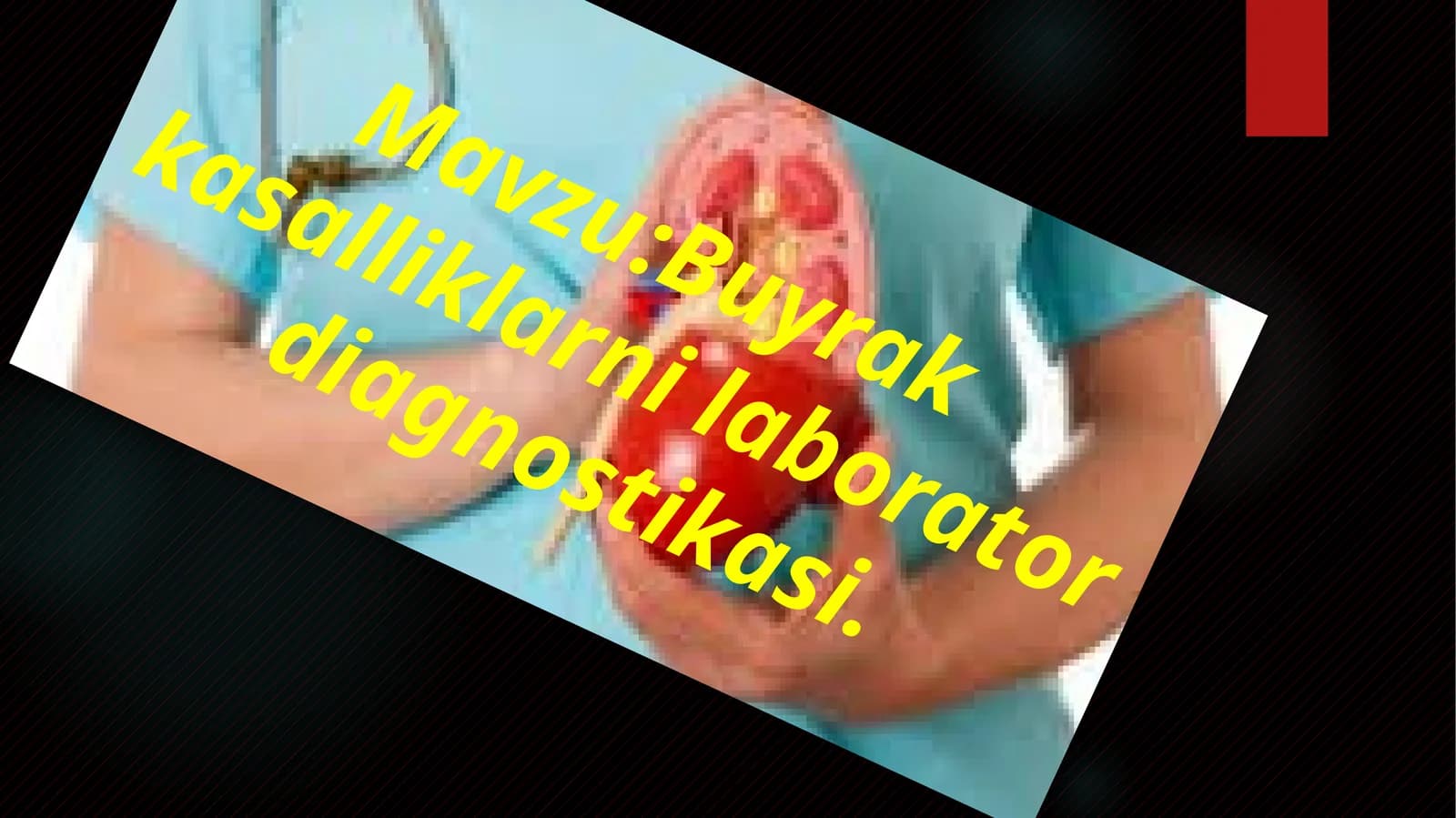 Buyrak kasalliklarini laborator diagnostikasi