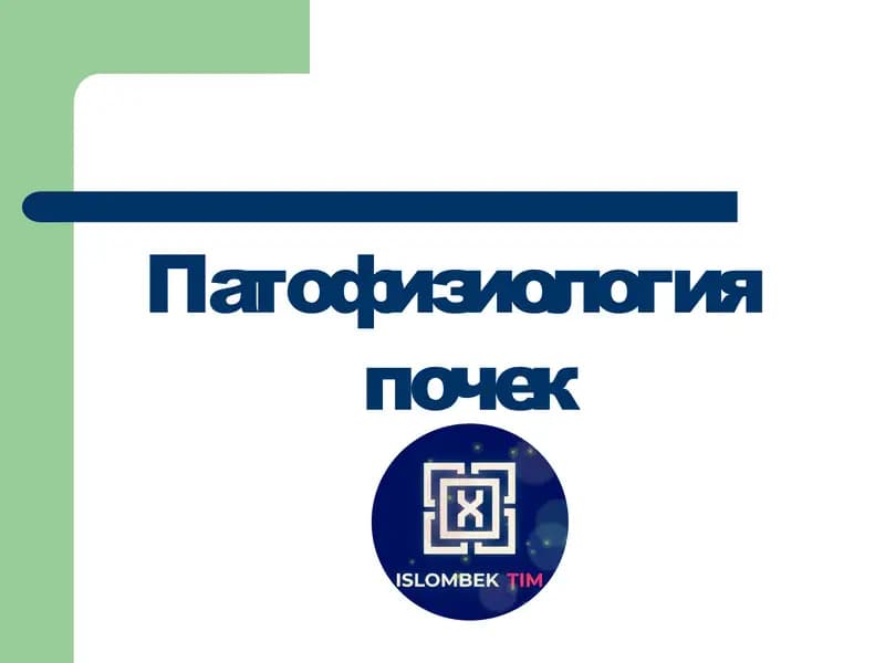 Патофизиология почек