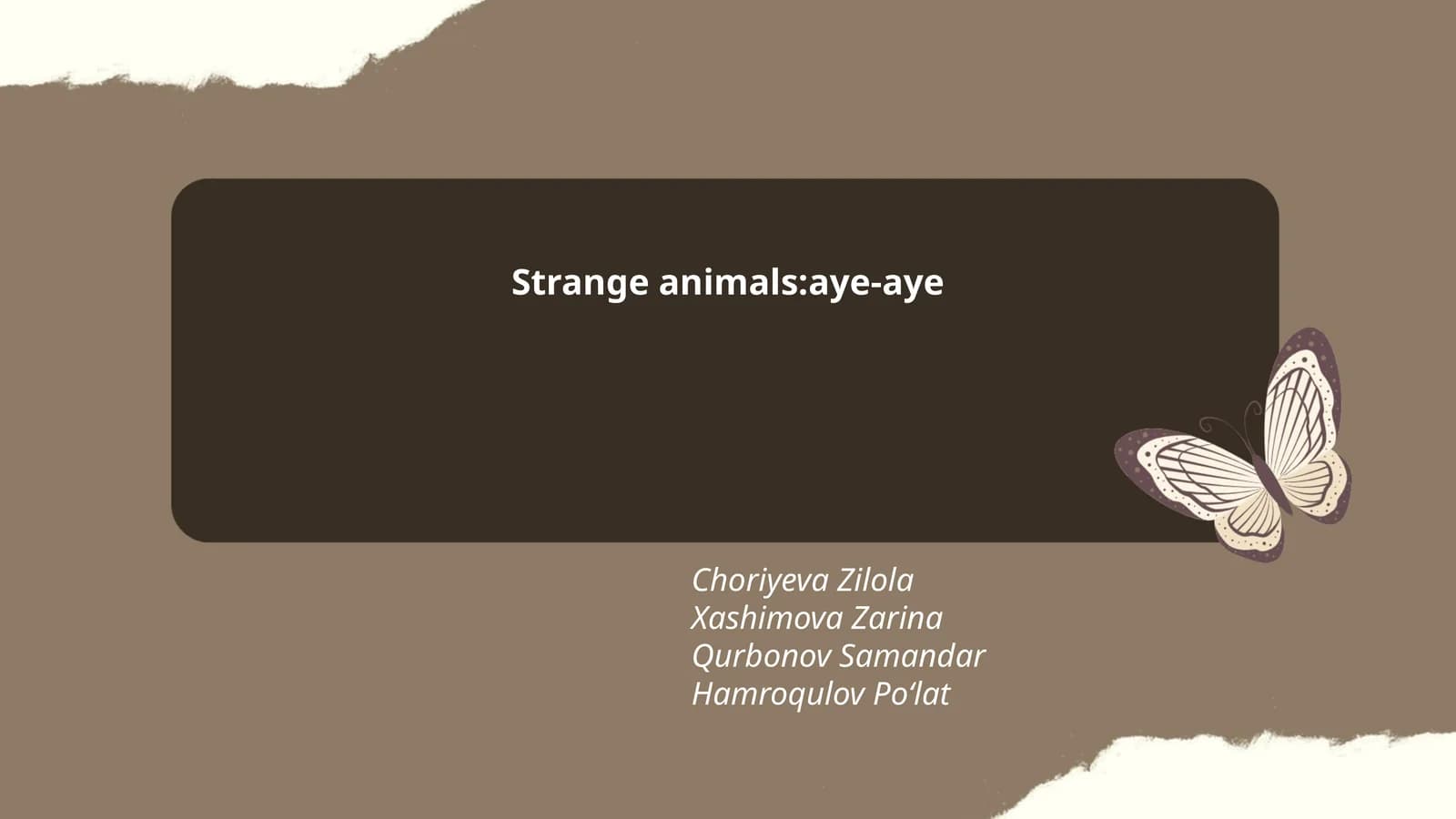 Aye-Aye's Unique Physical Features
