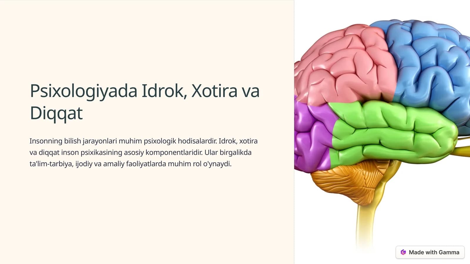 Psixologiyada Idrok, Xotira va Diqqat