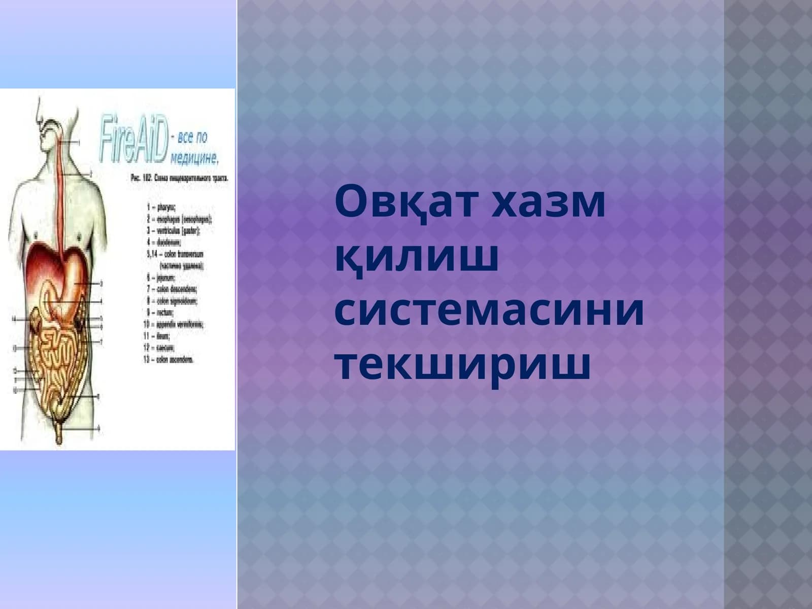 Овқатхазмқилишсистемасини текшириш