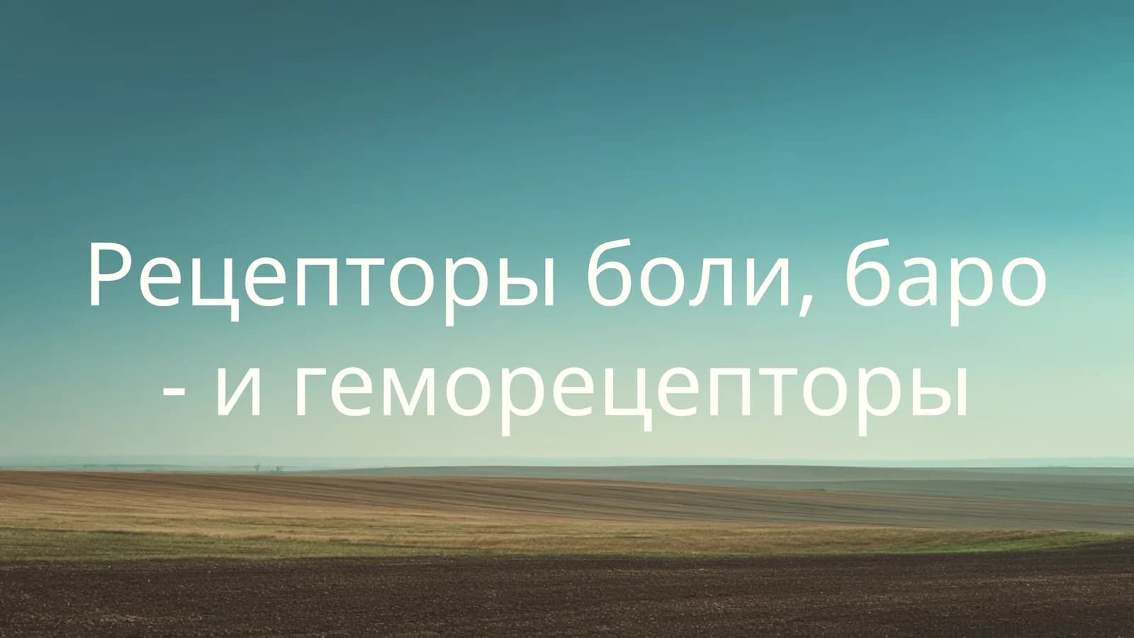 Рецепторы боли, баро - и геморецепторы