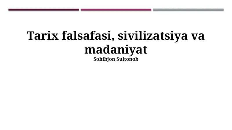 Tarix Falsafasi, Sivilizatsiya va Madaniyat