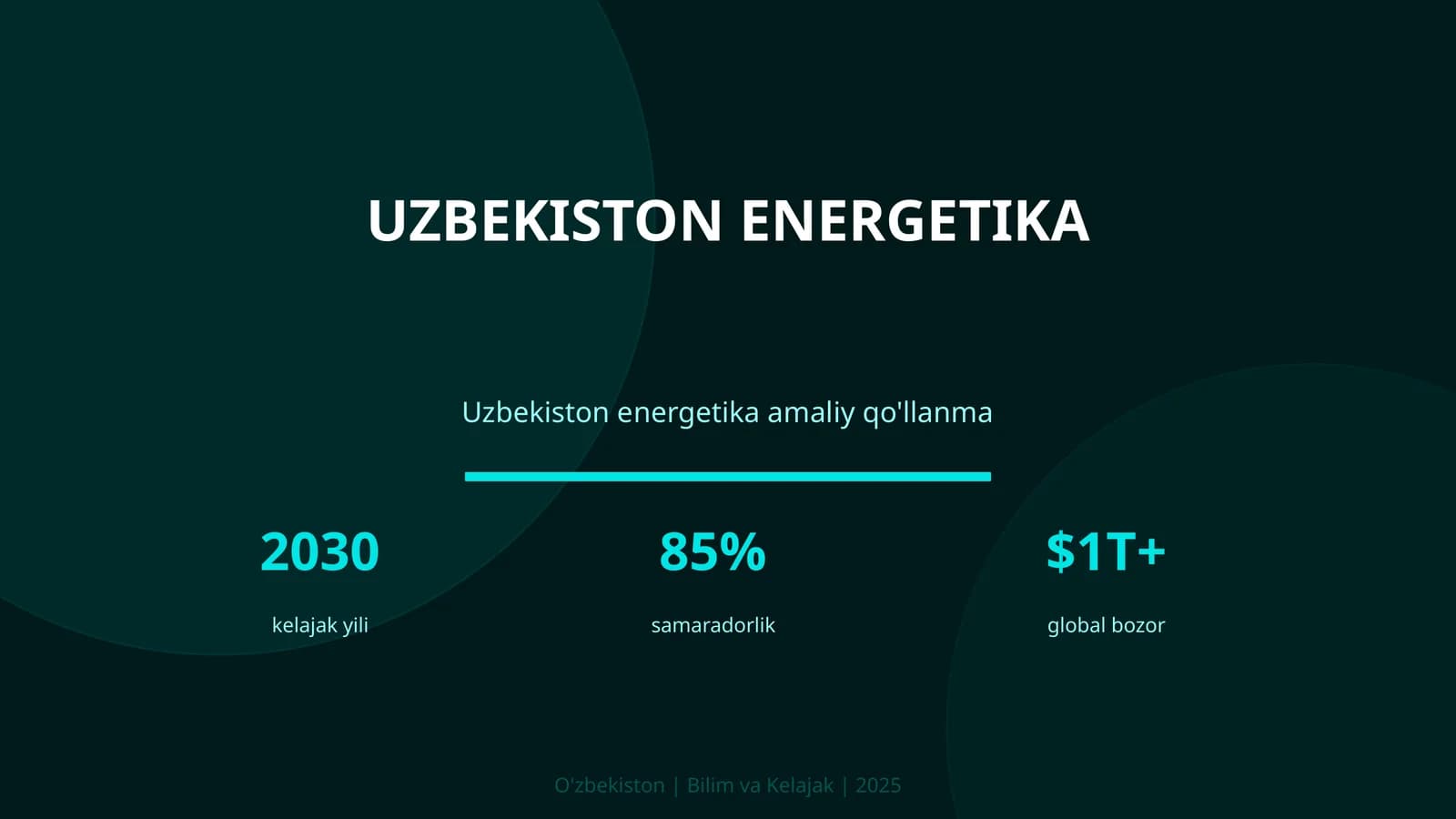 Uzbekiston energetika amaliy qo'llanma
