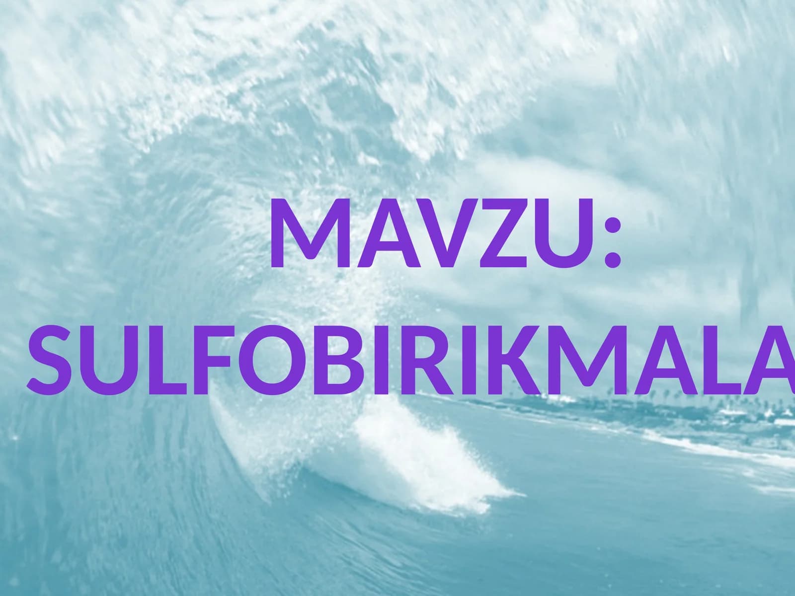 Sulfobirikmalar