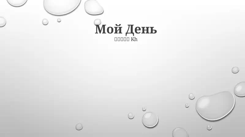 Мой День