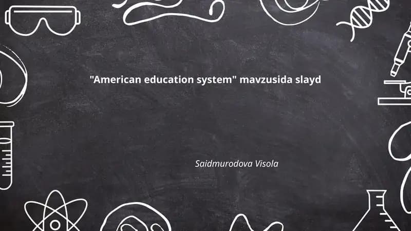 American education system