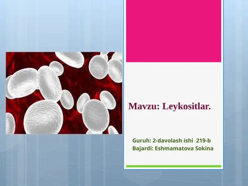 leykotsitlar