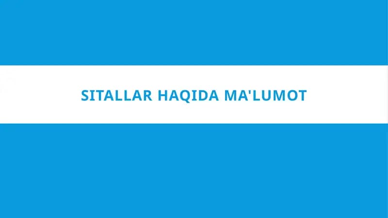 SITALLAR HAQIDA MA LUMOT