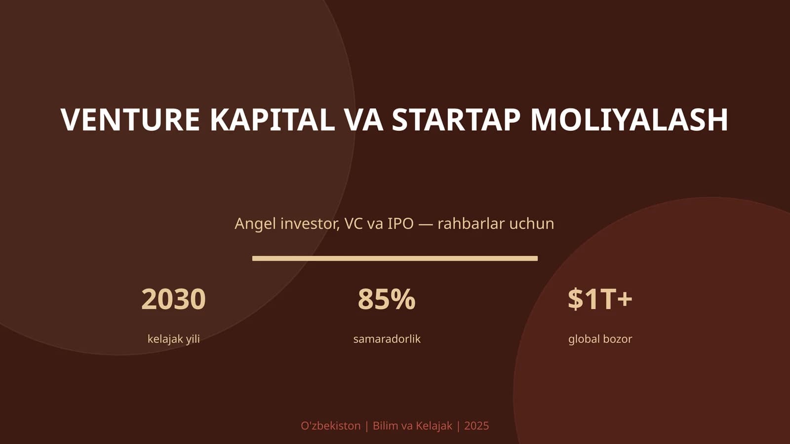 VENTURE KAPITAL VA STARTAP MOLIYALASH