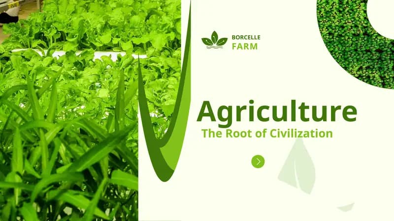 Agriculture