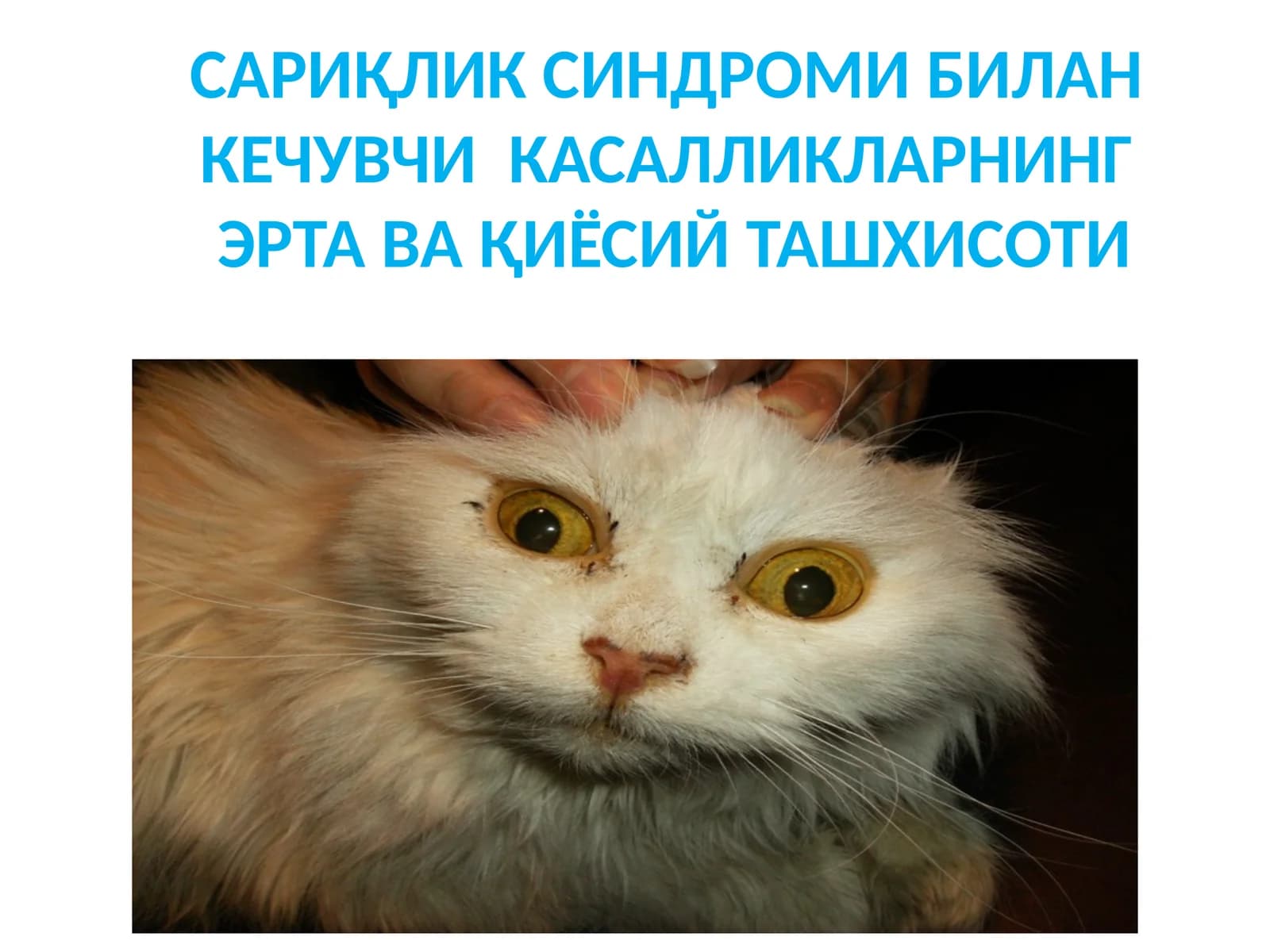 САРИҚЛИК СИНДРОМИ