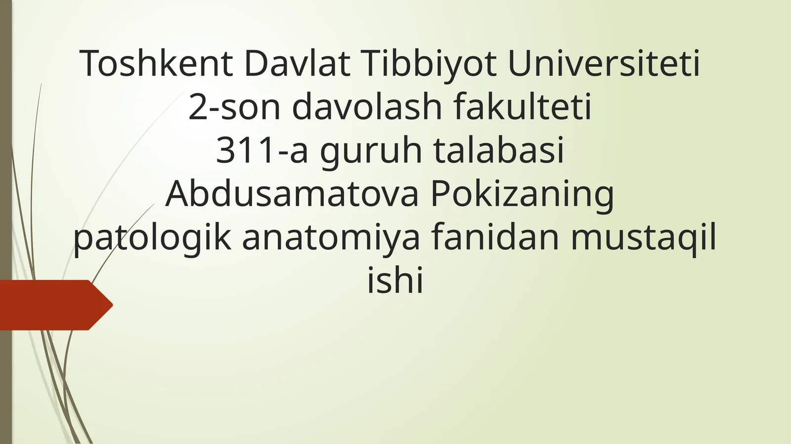 Plevra kasalliklari
