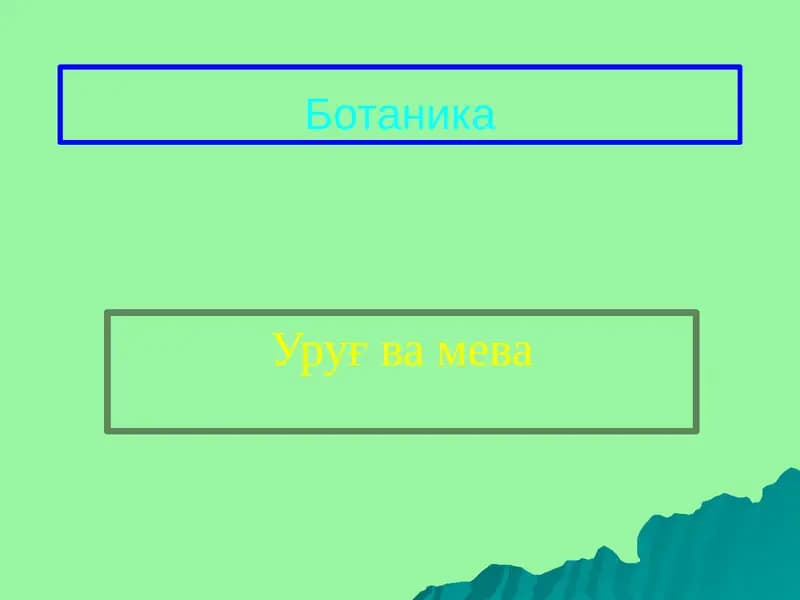 Уруғва мева