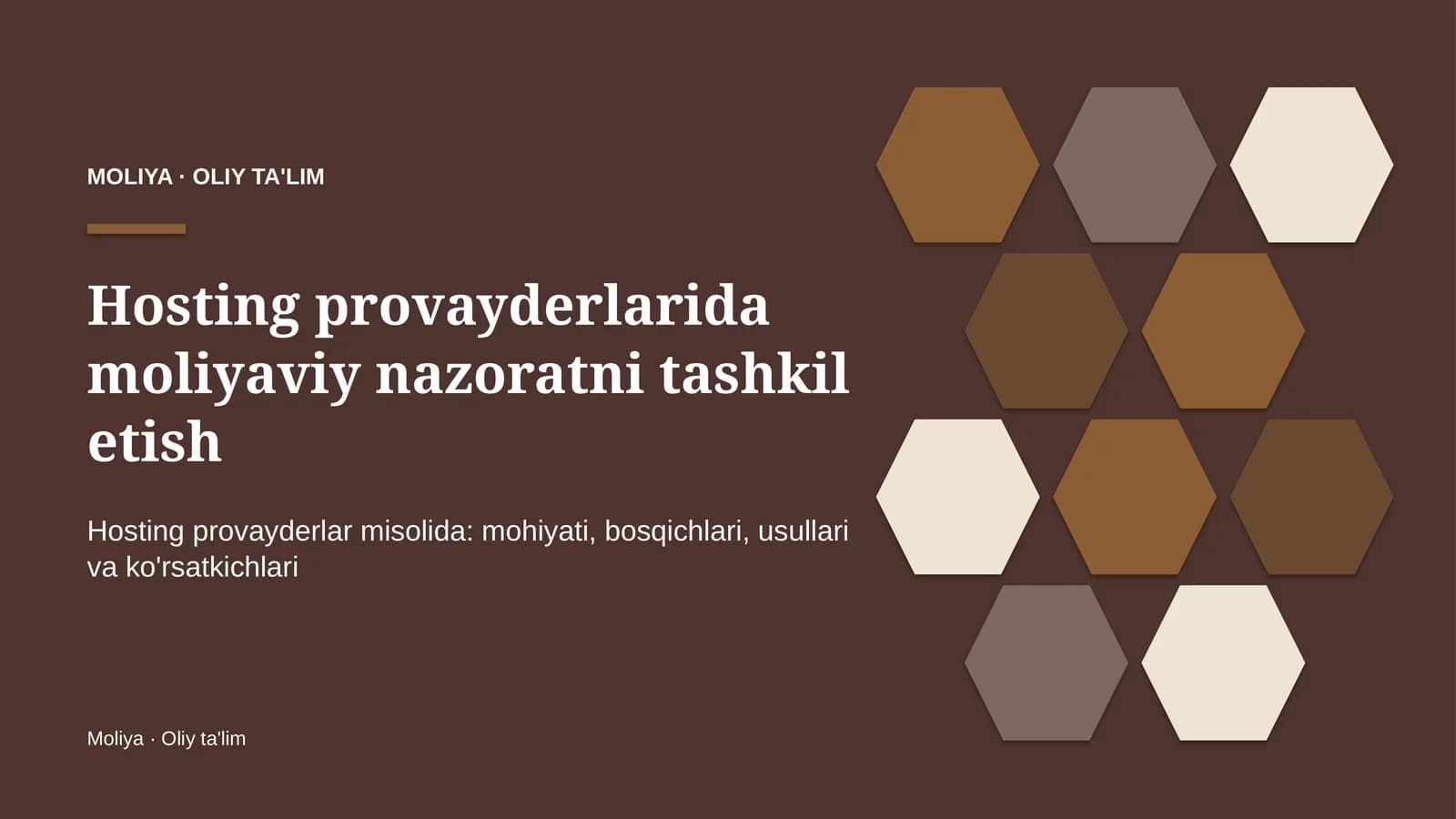 Hosting provayderlarida moliyaviy nazoratni tashkil etish