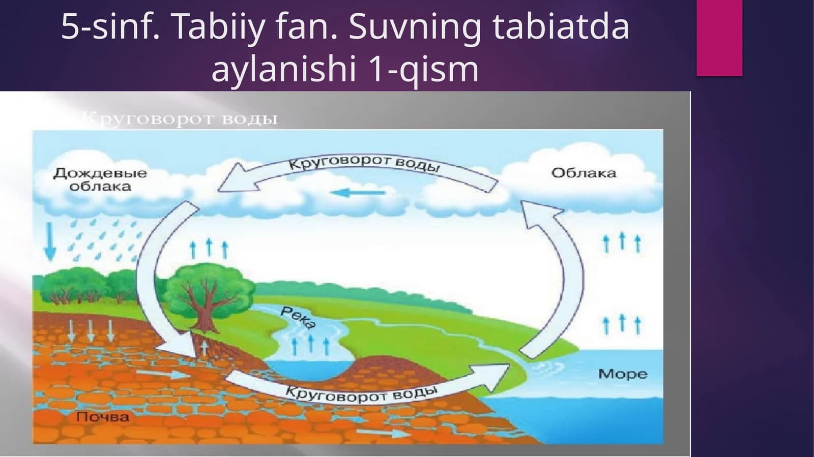 Suvning aylanishi 1-qism
