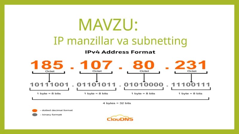 IP Manzillar
