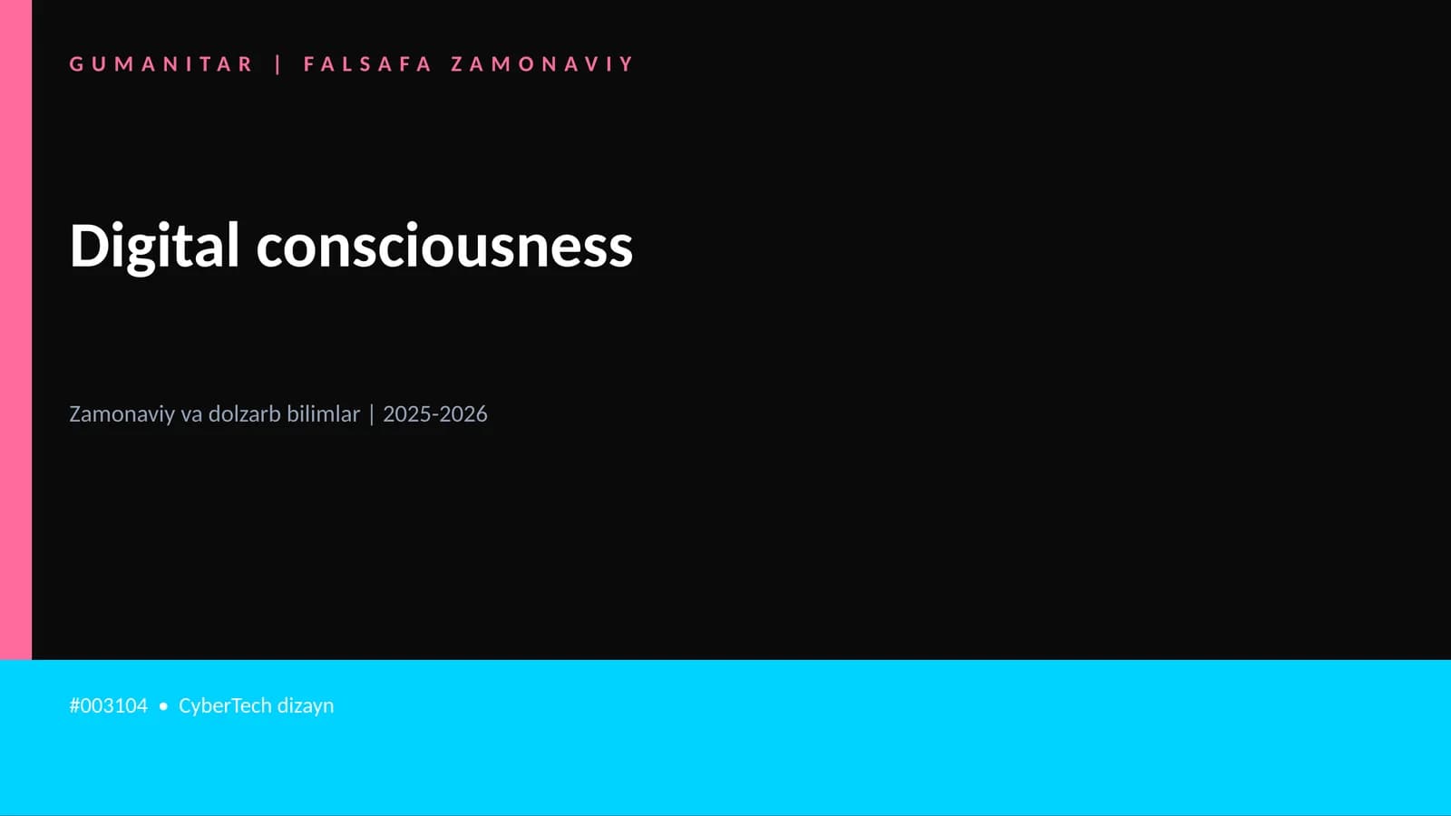 Digital consciousness
