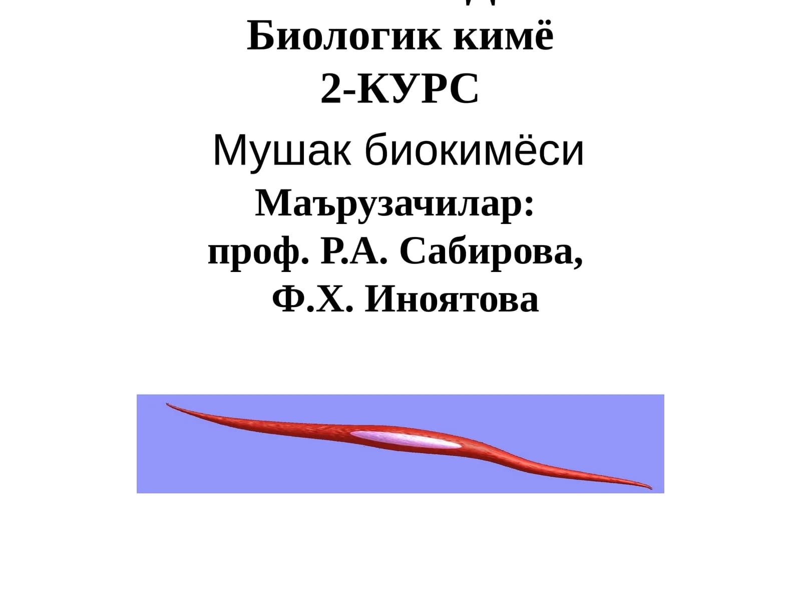 Мушак биокимёси