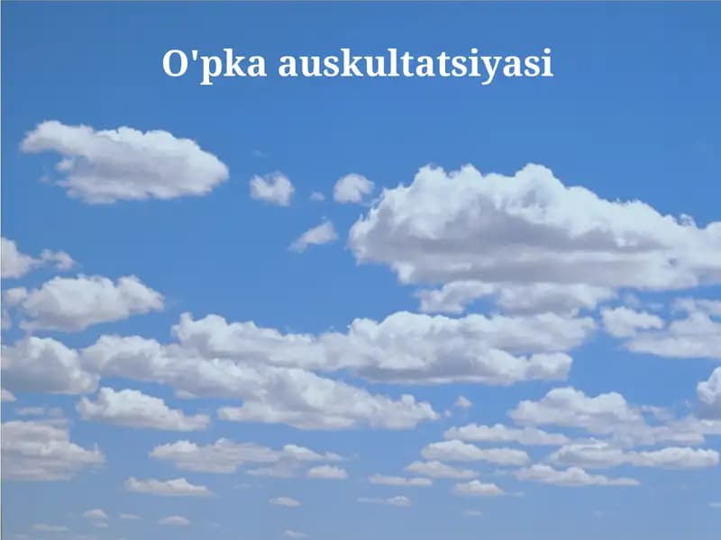Auskultatsiya