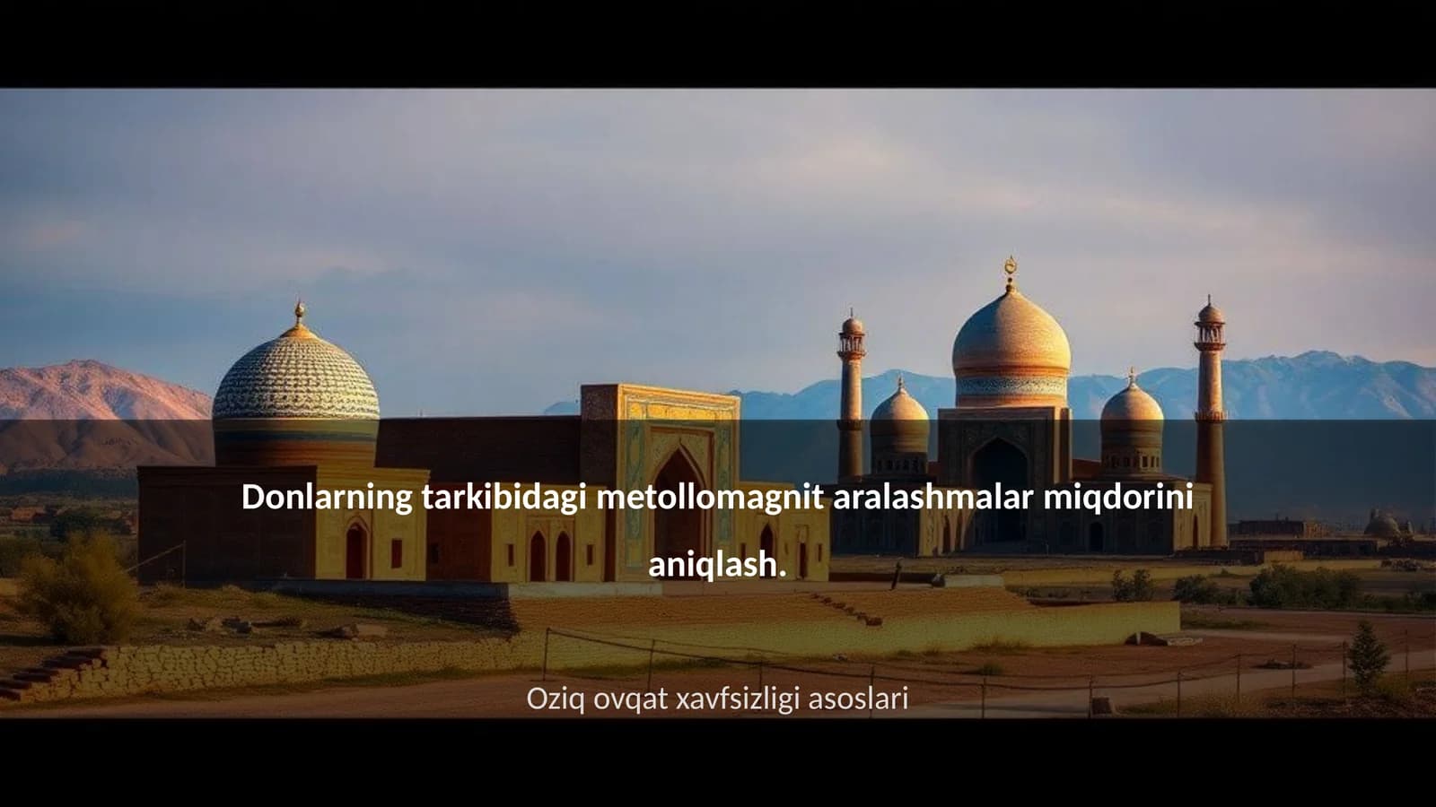 Metollomagnit aralashmalar tushunchasi