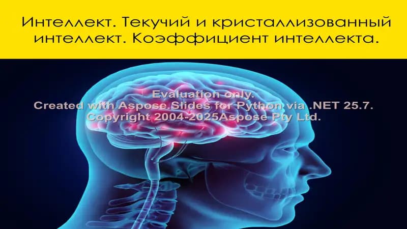 Интеллект