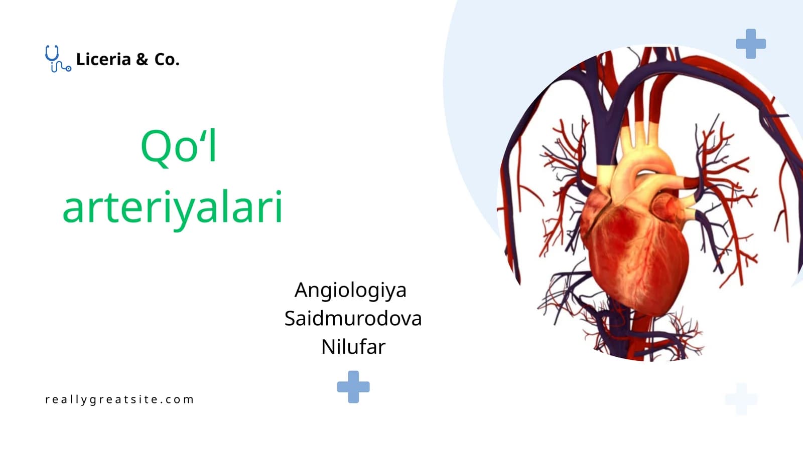 Qoʻl arteriyalari