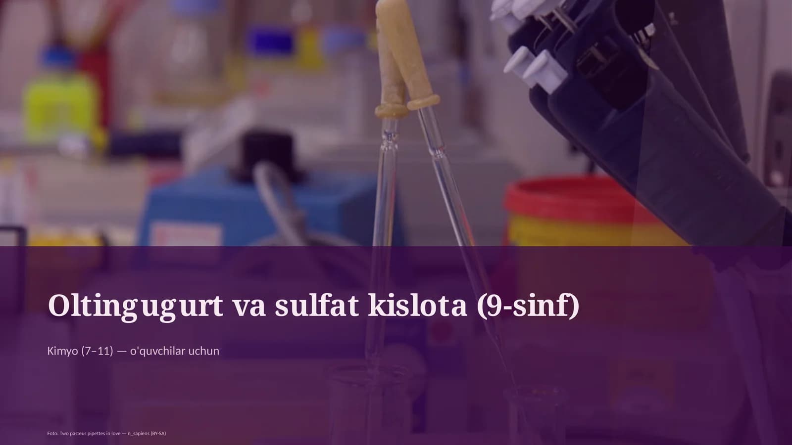Oltingugurt va sulfat kislota (9-sinf)