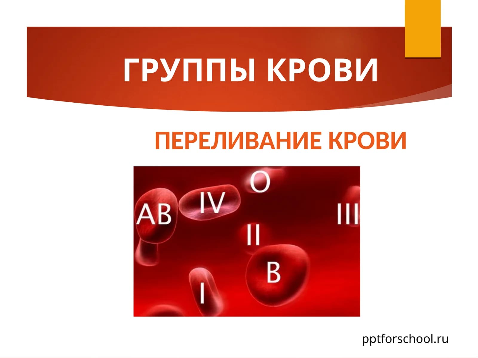 ГРУППЫ КРОВИ