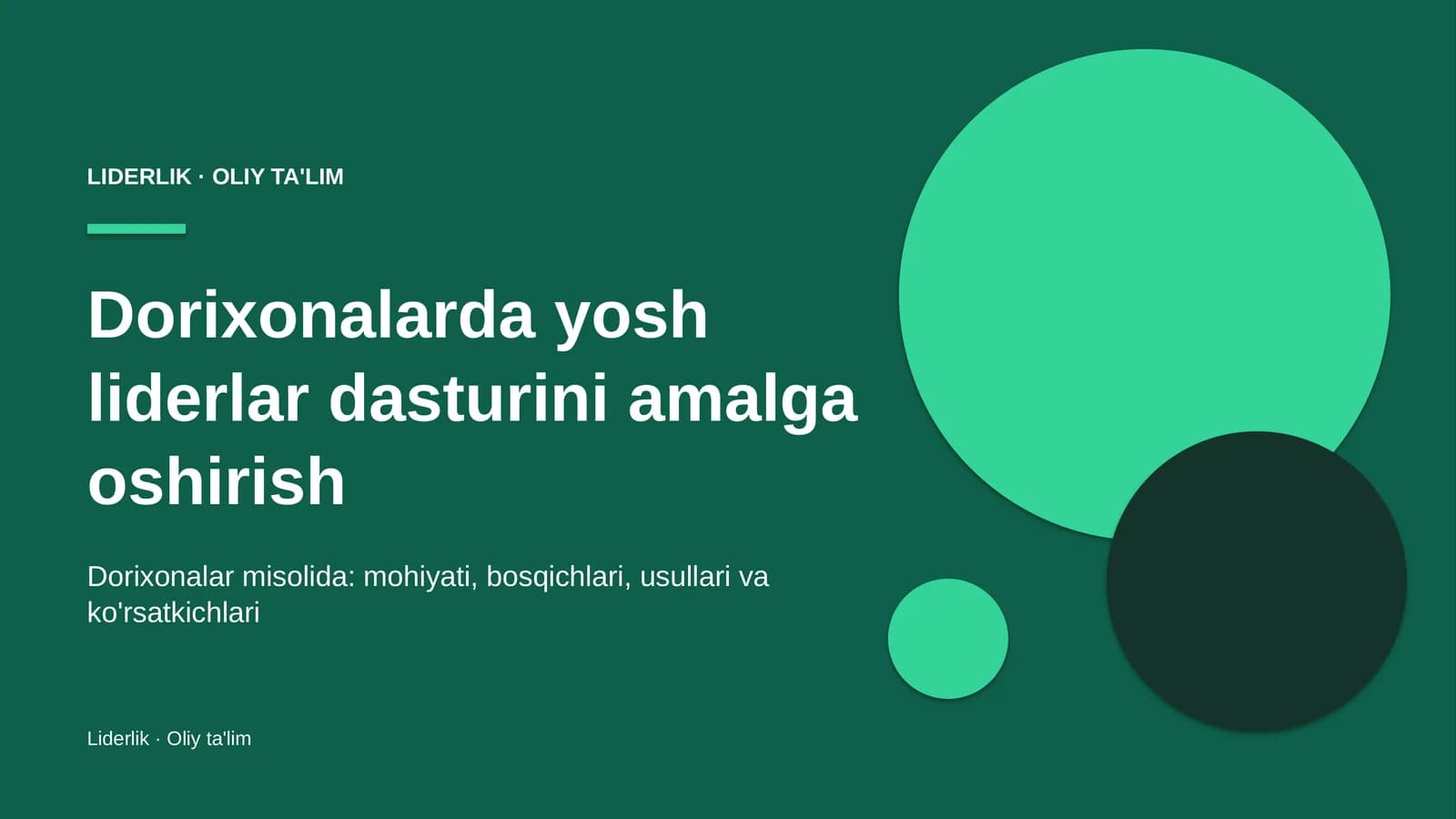 Dorixonalarda yosh liderlar dasturini amalga oshirish