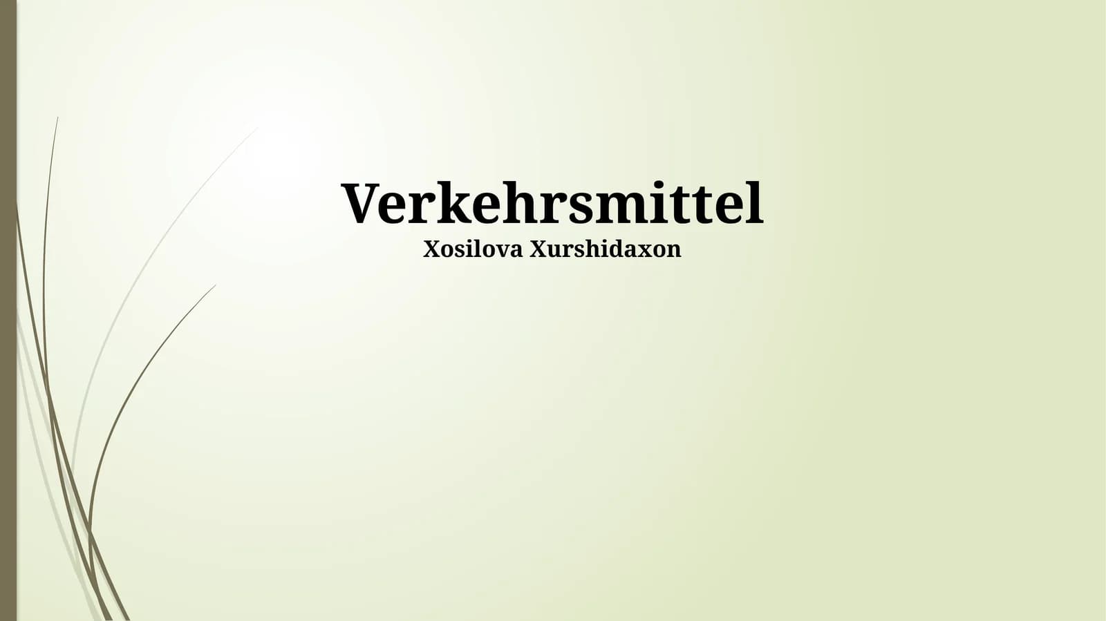 Verkehrsmittel