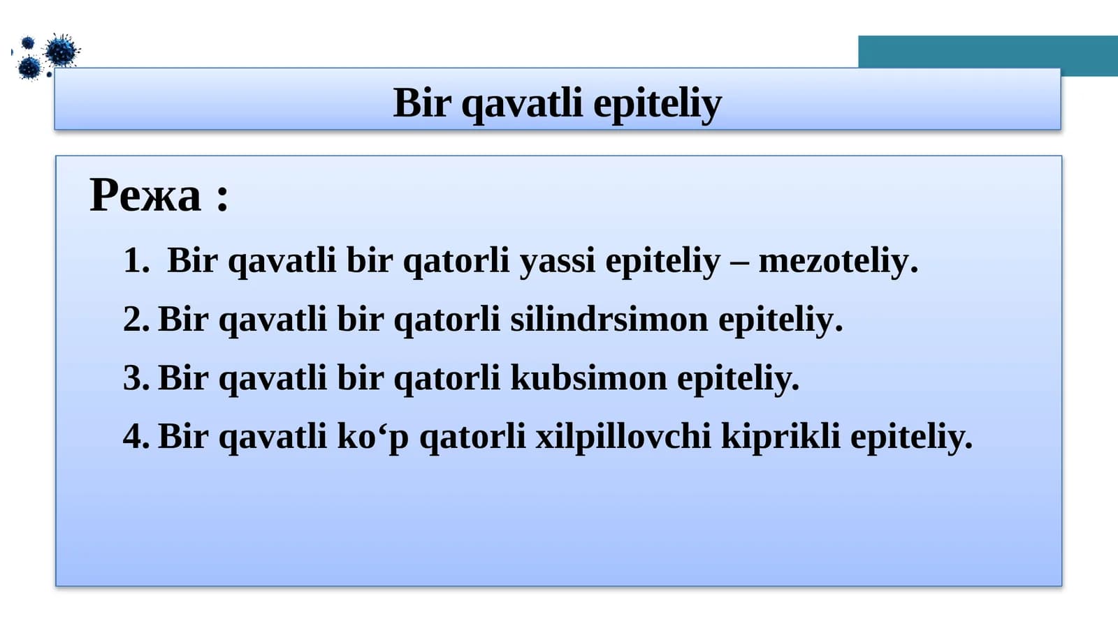 Bir qavatli epiteliy
