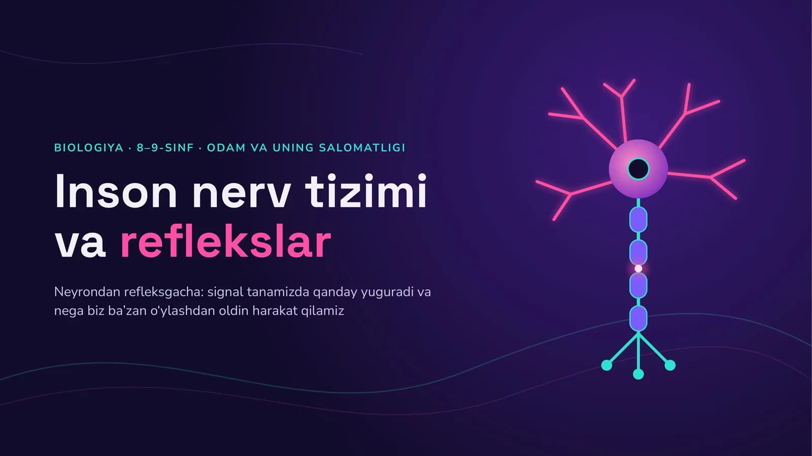 Inson nerv tizimi vareflekslar