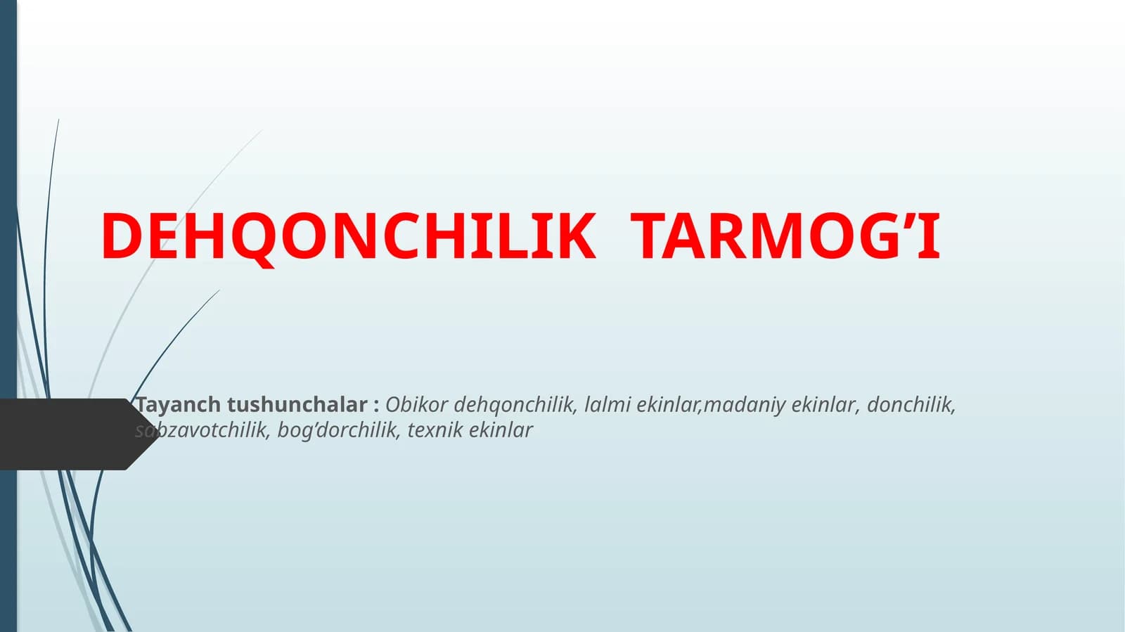 DEHQONCHILIK TARMOG’I