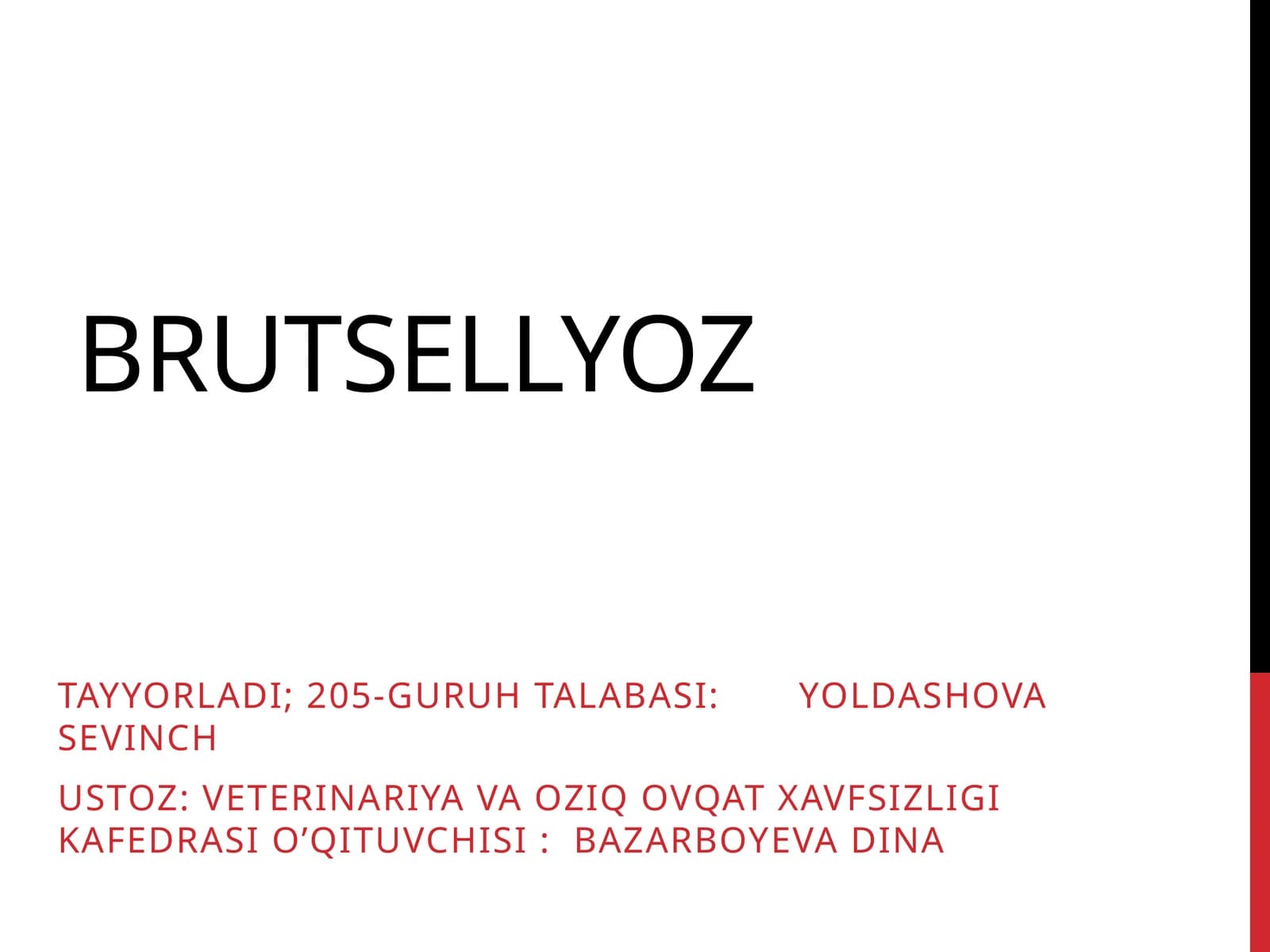Brutsellyoz
