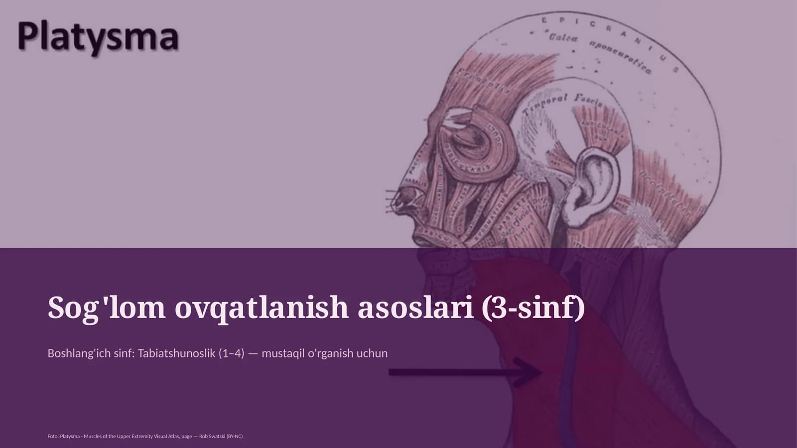 Sog'lom ovqatlanish asoslari (3-sinf)