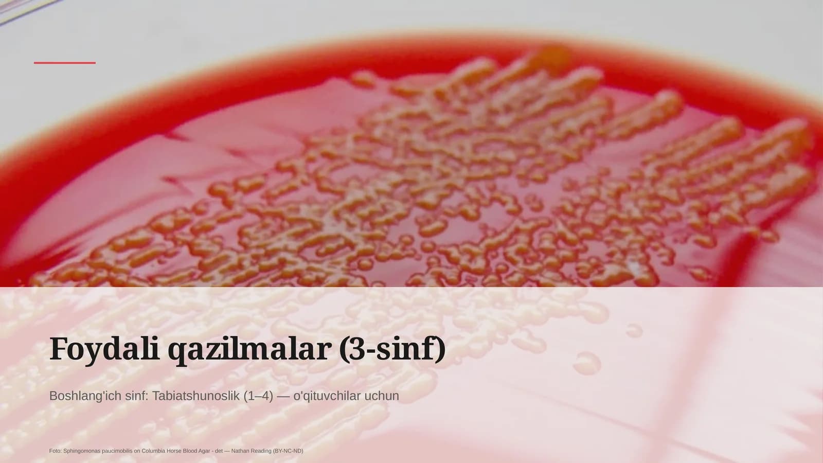 Foydali qazilmalar (3-sinf)