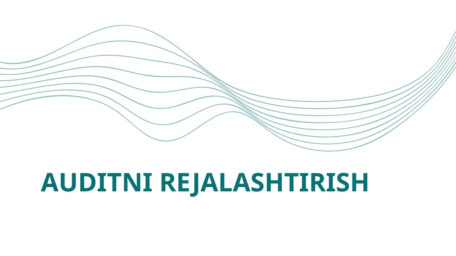 Auditni Rejalashtirish
