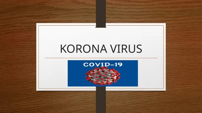 KORONA VIRUS