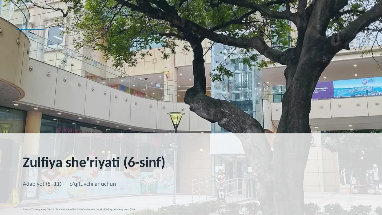 Zulfiya she'riyati (6-sinf)