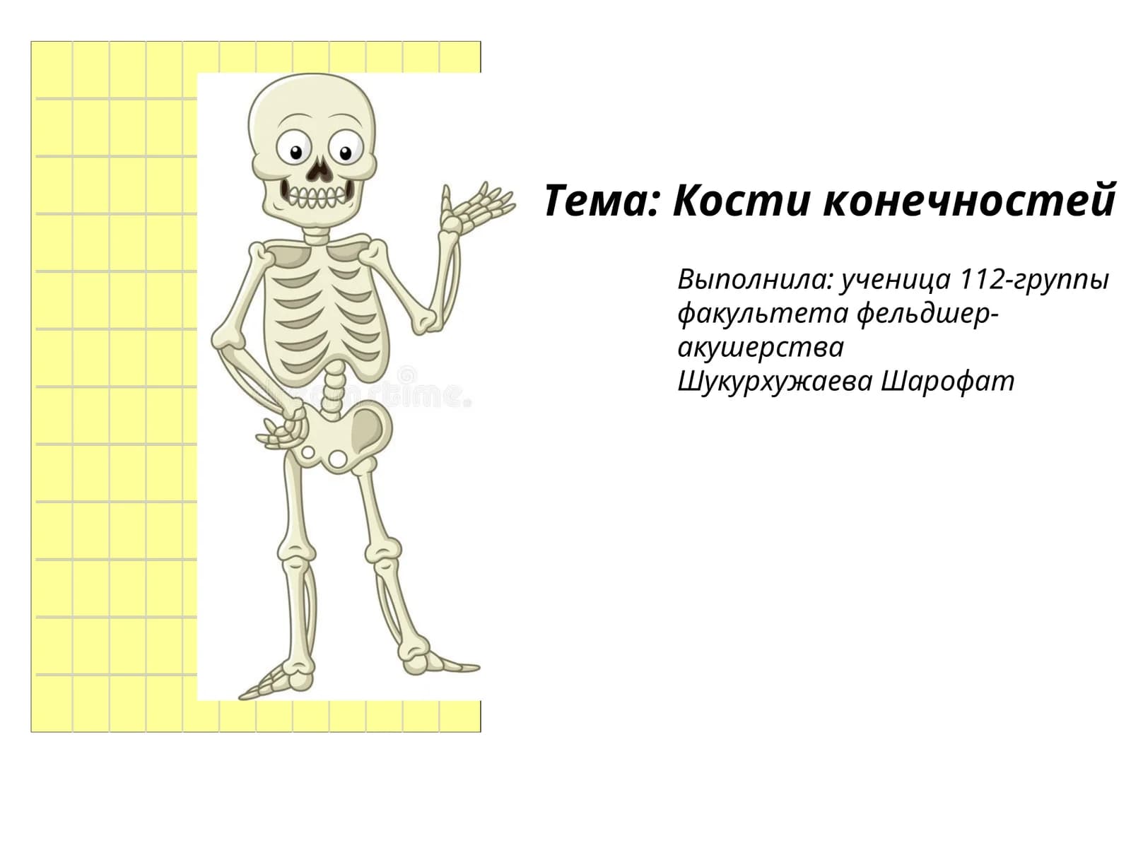 Кости конечностей
