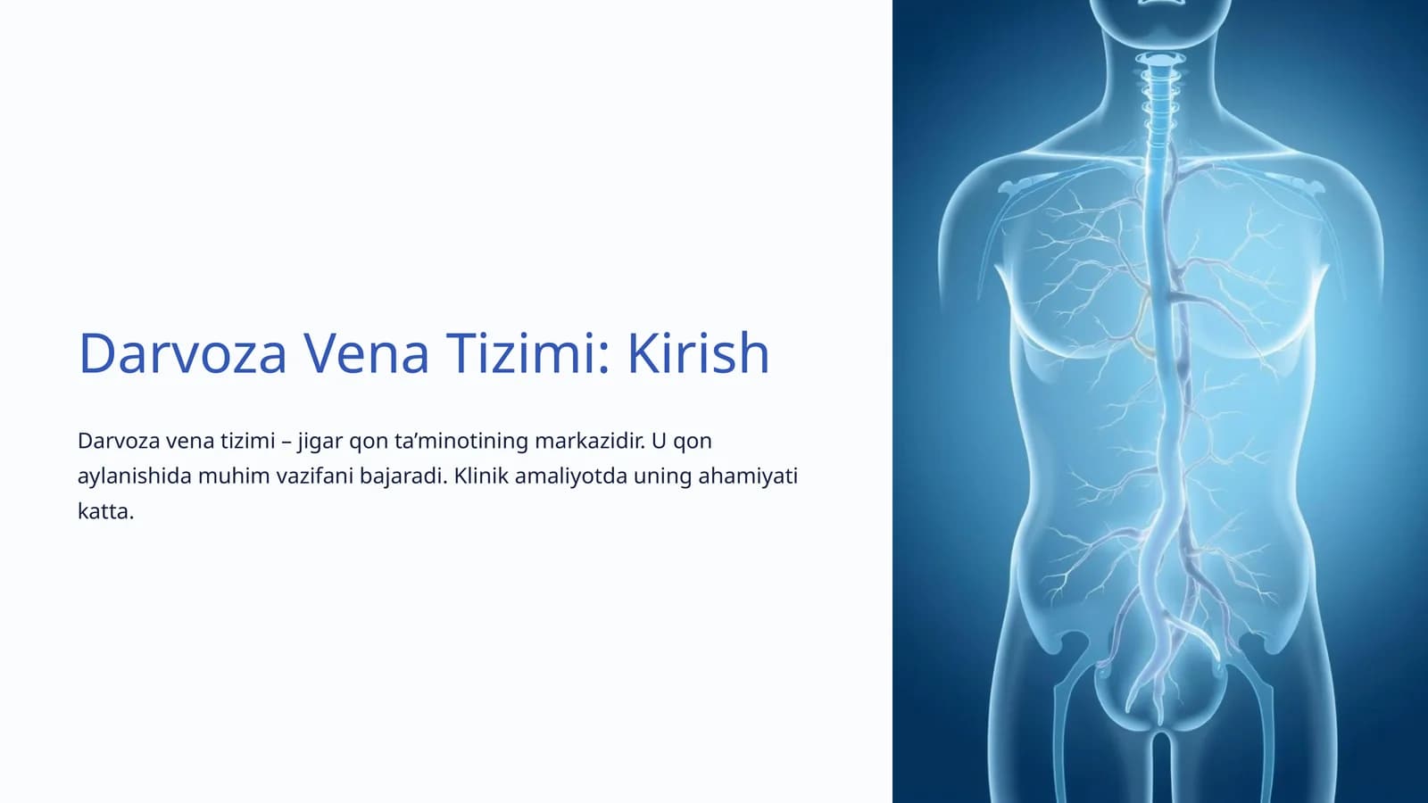 Darvoza Vena Tizimi: Kirish