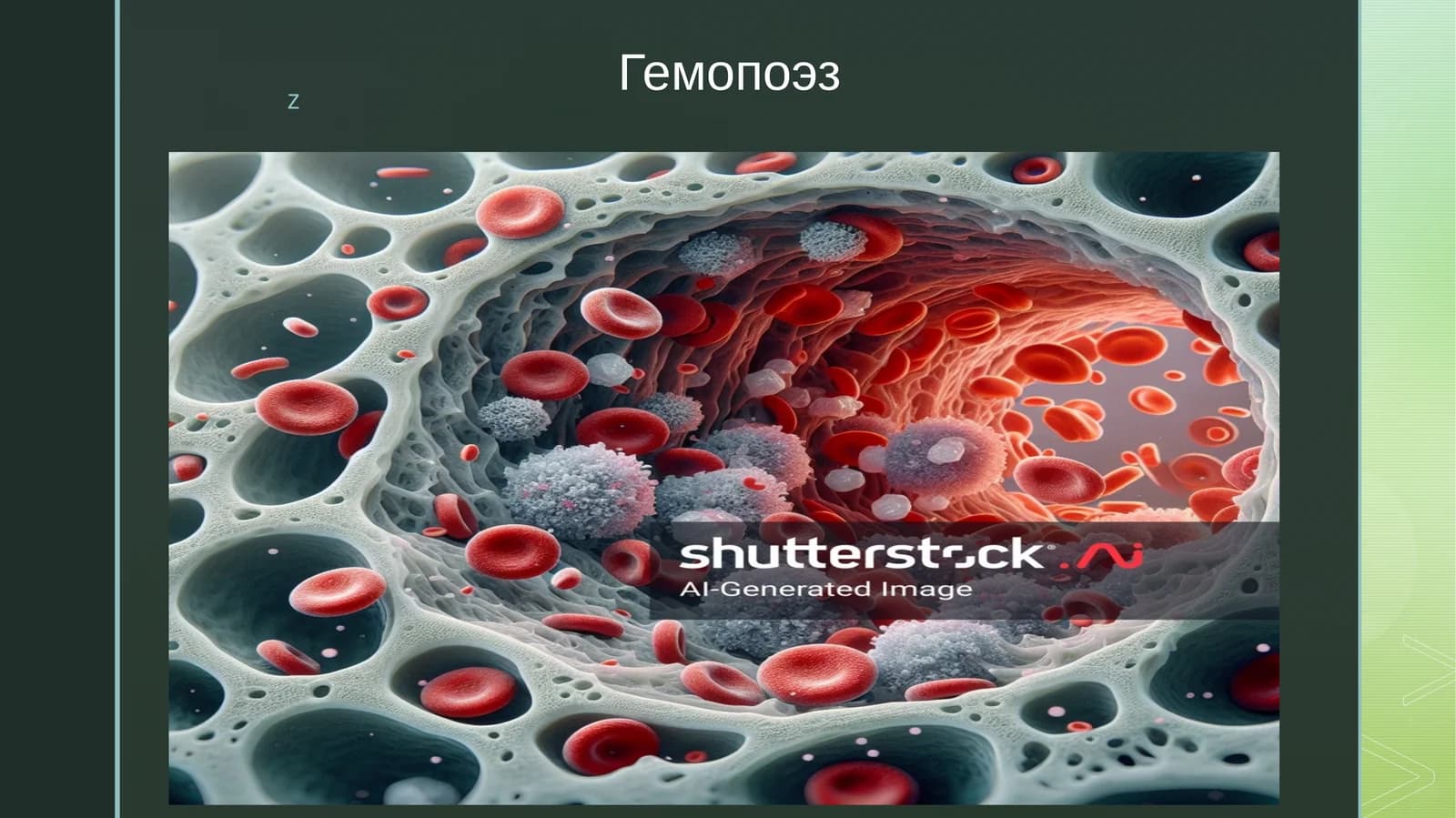 Гемопоэз