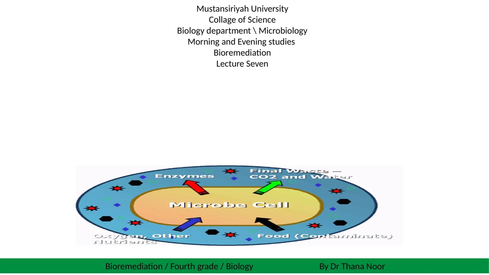 Bioremediation Lecture