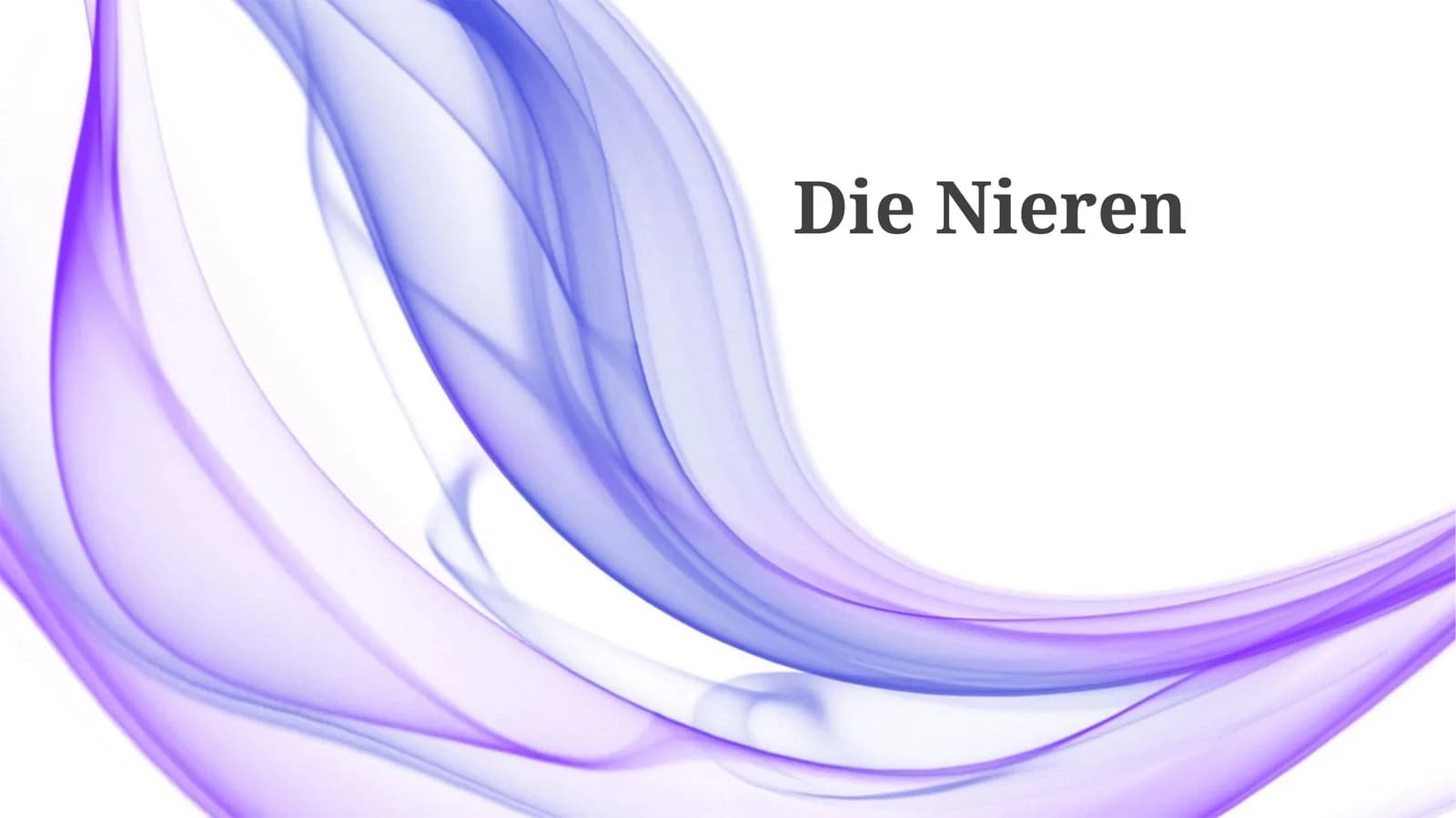 DieNieren