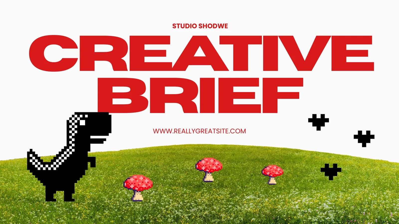 STUDIO SHODWE