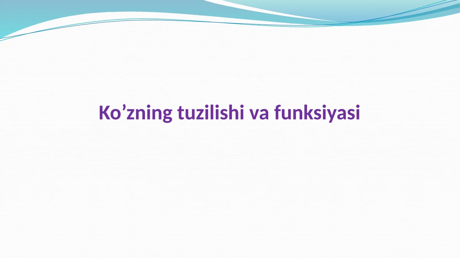 Ko’zning tuzilishi va funksiyasi