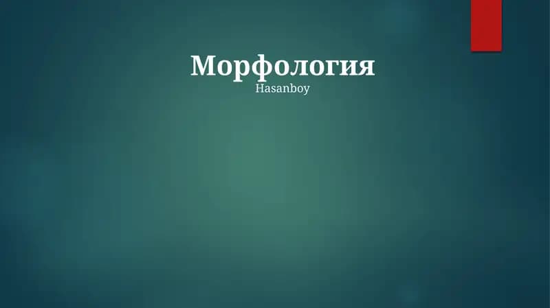 Морфология